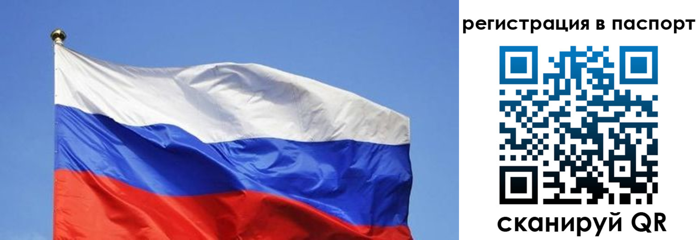 прописка в квартире в Волгодонске